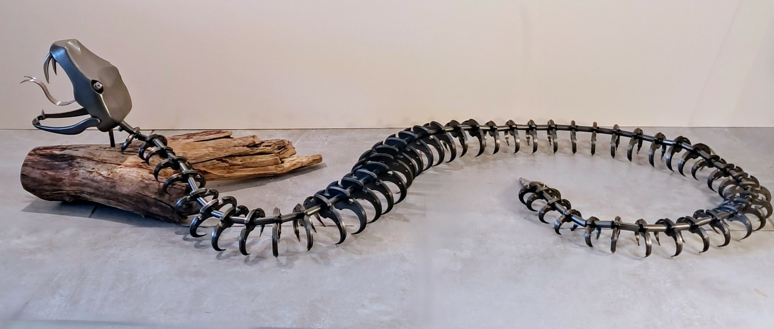 "Python squelette" de Etienne MORIER. Designer sur métal.