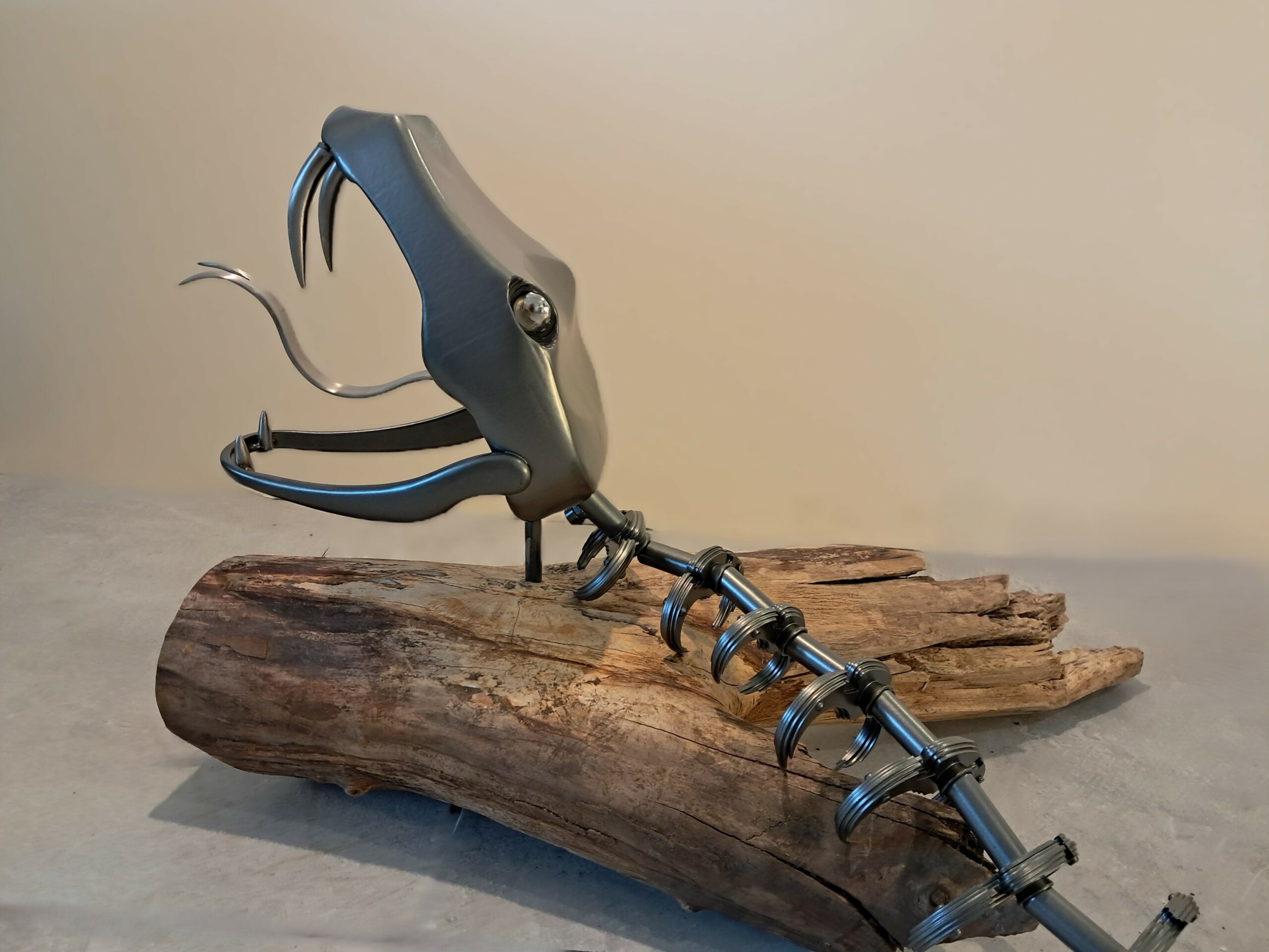 "Python squelette" de Etienne MORIER. Détail.